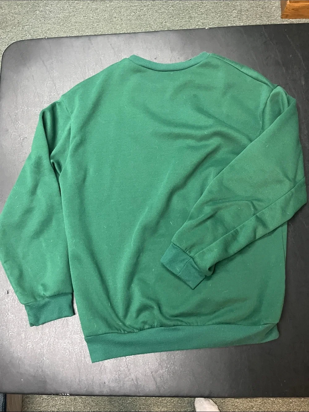 J. Crew Green Lake Tahoe Crewneck Sweatshirt